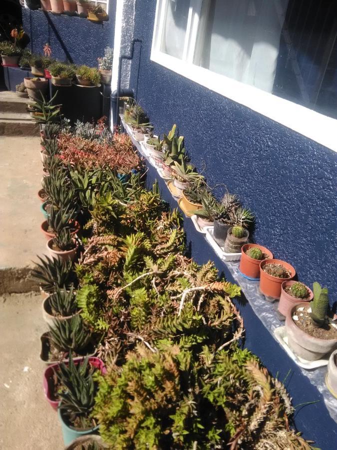 Havilah House Baguio City Buitenkant foto
