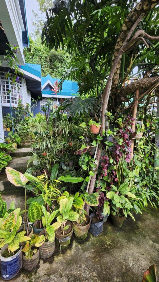 Havilah House Baguio City Buitenkant foto